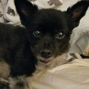 Meet your Posher, Kari